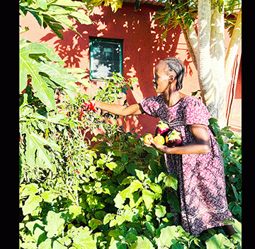 Kaino-2 Ohamaremba-Okanguati pipeline brings hope to Epupa