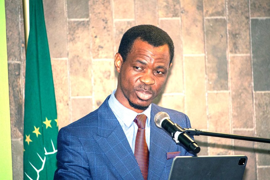 Political interference undermines LAs – Matyayi