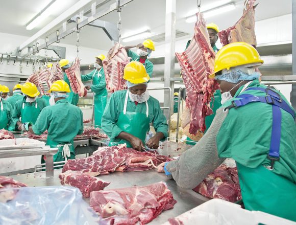 Meatco 1 Meatco elevates game with Wagyu processing …Arabic bank ready to finance turnaround strategy