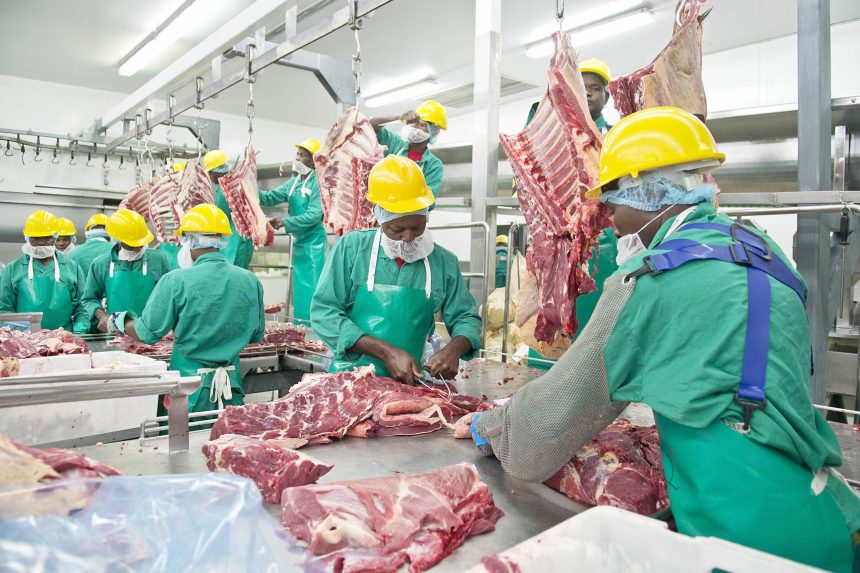 Meatco elevates game with Wagyu processing …Arabic bank ready to finance turnaround strategy