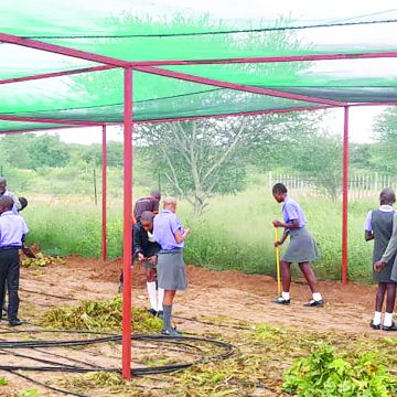 Morukutu’s school garden impact  beyond classroom