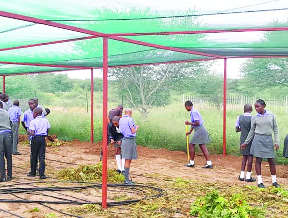 Morukutu’s school garden impact  beyond classroom