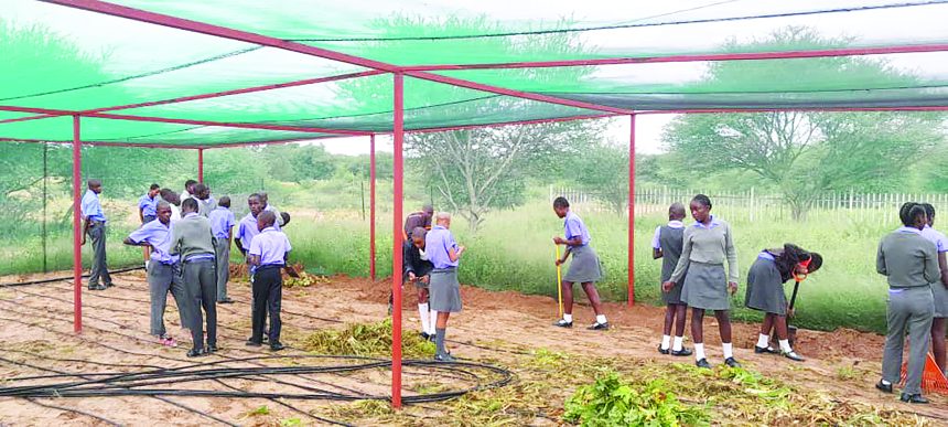 Morukutu’s school garden impact  beyond classroom
