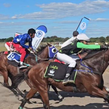 Racehorses 1 Namibia racehorses triumph in Botswana