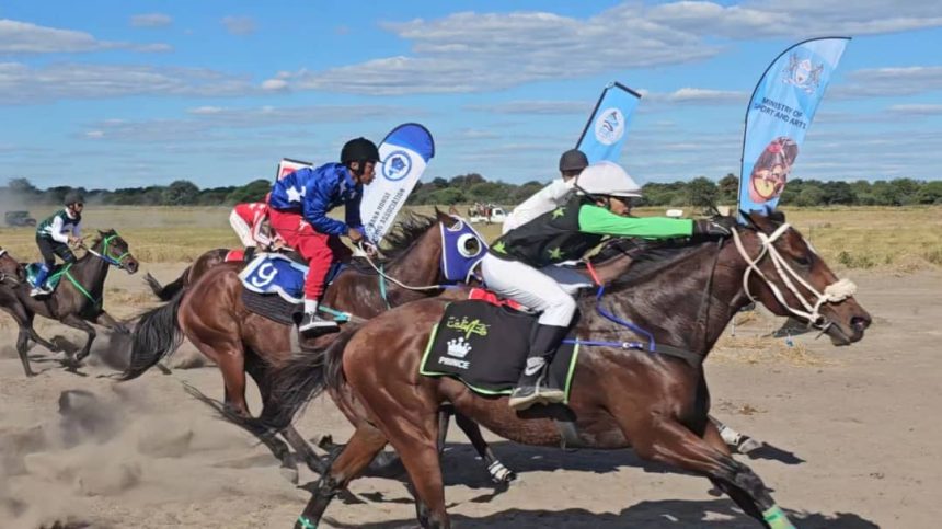 Namibia racehorses triumph in Botswana
