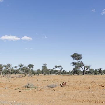 Govt plans N$5 million sports facility for Rehoboth 