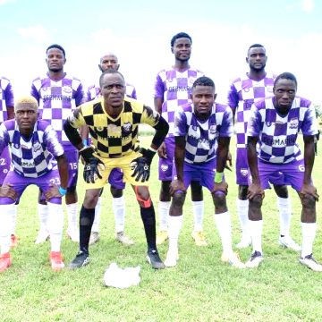 Life Fighters, Tigers and Chiefs vow comeback