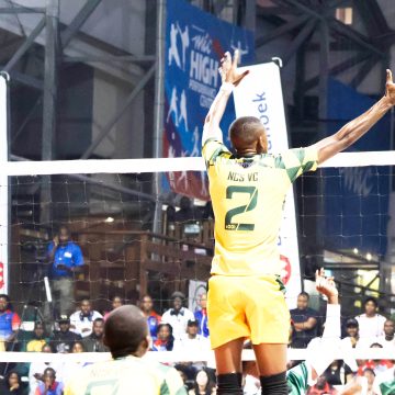 Doc Tourney sets new participation benchmark