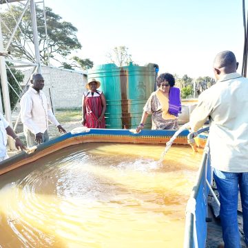 !Garo!ā ǀkharigu !nâs ge khoesisa omkhâisa hâ a