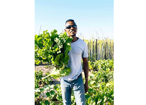 Ovatoolinghundana va twifa ondjodi yange younafaalama – Nekongo