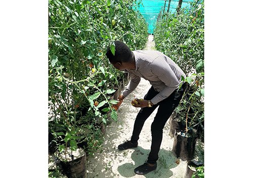 Ta hupile moshikunino shiikwamboga