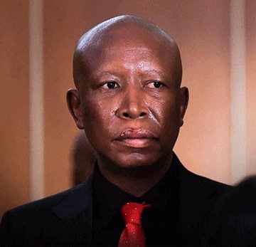 ‘Malema sentence politically motivated’