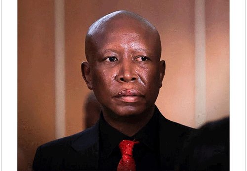 ‘Malema sentence politically motivated’