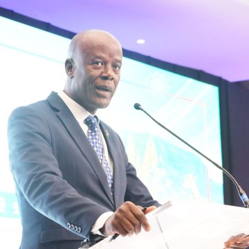 Critical Namibia pitches critical minerals to Shandong investors