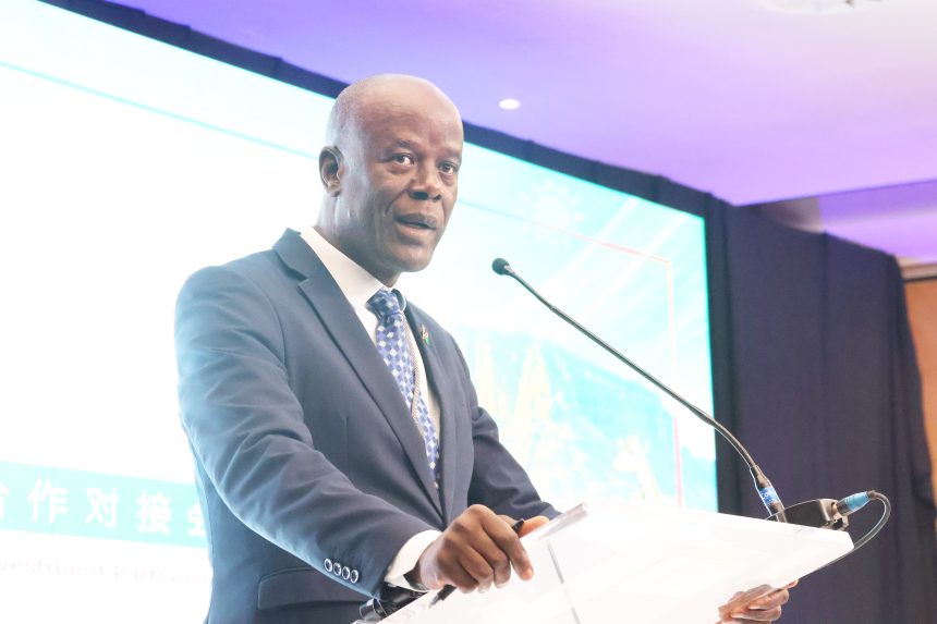 Critical Namibia pitches critical minerals to Shandong investors