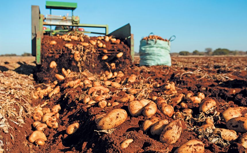 Omaheke Crop Farmers Fair a resounding success