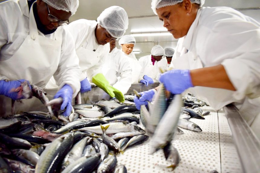 Relaxed fishing depths raises sustainability questions … grants exclusive access to select group of vessels
