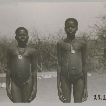 Inherited pains of colonial atrocities …Namibian youth reflect 