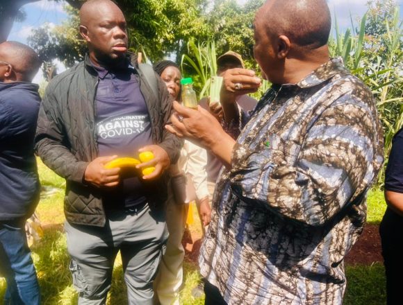 A lesson from Kenya … cooperative farming success inspires Nam farmers