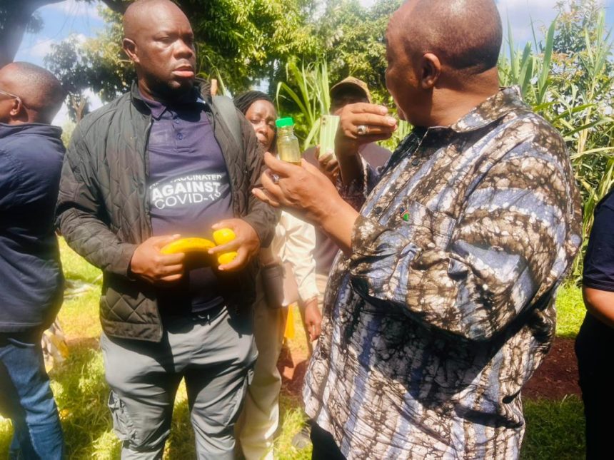 A lesson from Kenya … cooperative farming success inspires Nam farmers