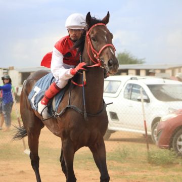Olivier: From jockey to breeder 