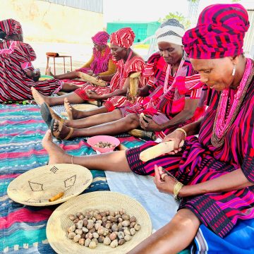 Marula oil reaches international markets …transforming the lives of rural women in northern Namibia