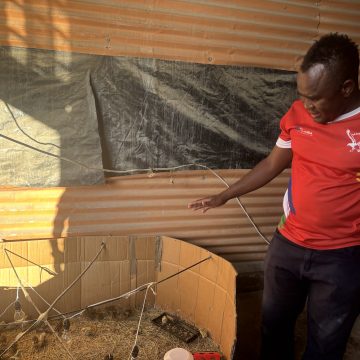 Uunona finds success in poultry farming