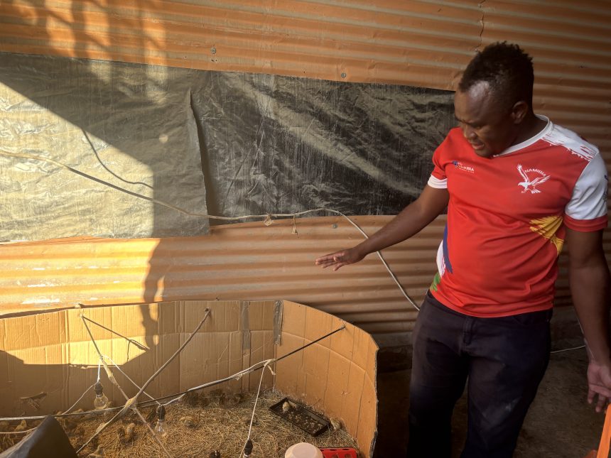 Uunona finds success in poultry farming