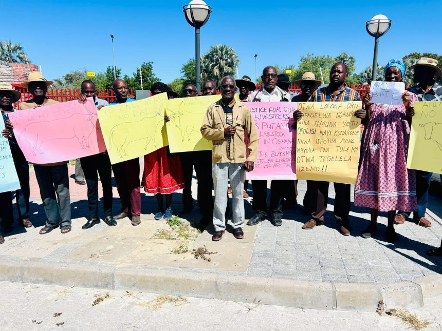 Stock theft Iipindi yonyama momapandaanda otayi kokeke uulunga wiimuna