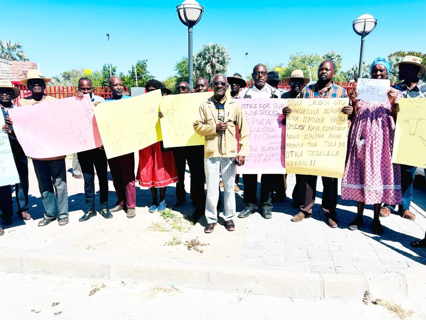 Vendors ‘fuelling’ cattle theft …farmers lose livestock worth over N$1.5m