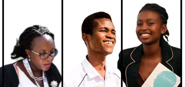 Collaborative board reinstates leaders after probe