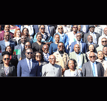 Nipam host Africa governance leaders
