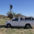Telecom to modernise network amid service improvements