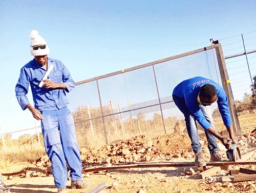 Oshivelo youth creates jobs for others