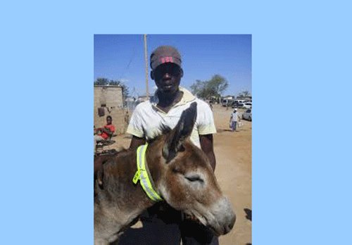 Reflector Eteni oitekulwanamwenyo i tulwe oupapa – Kansela waNgwediva