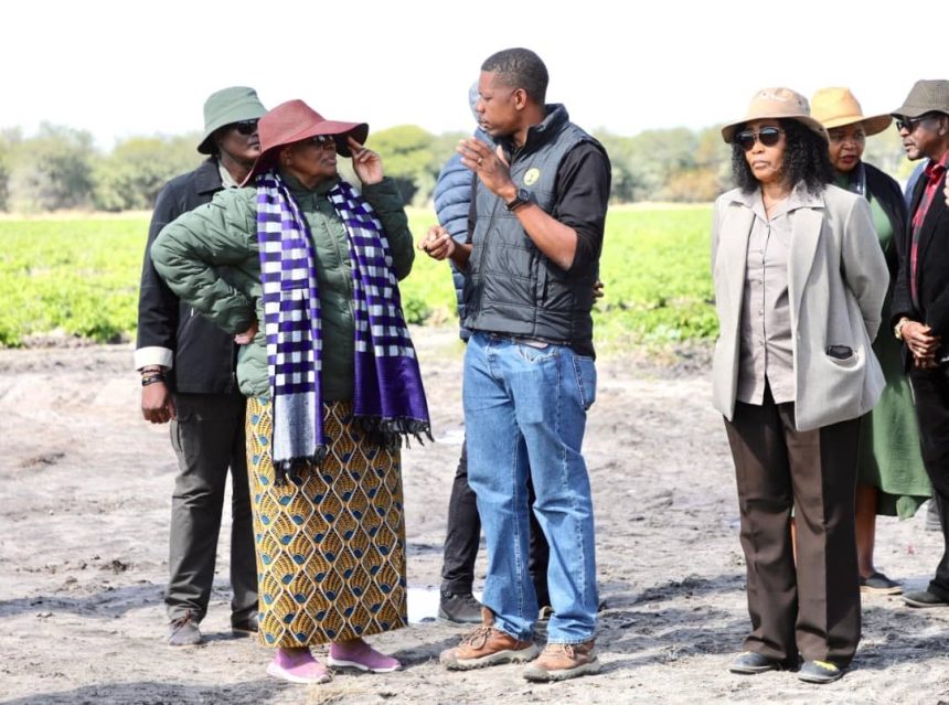NNN a hafa eshi oikunino tai xumu komesho moshilongo 