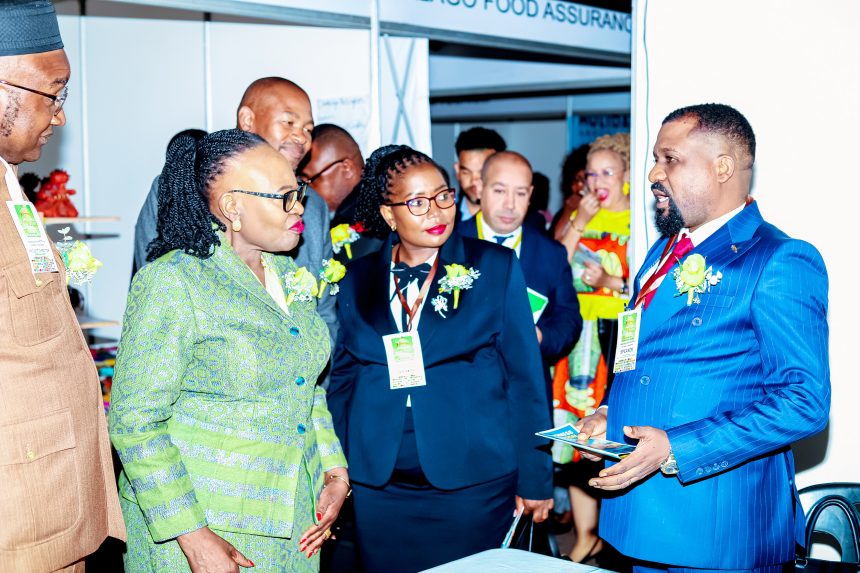 Africa’s ambitions take centre stage at investment summit 