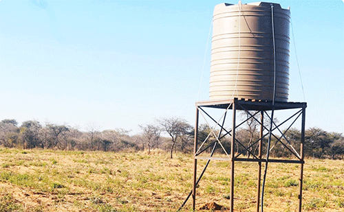 peanut Ombelewa yomupilima yapewa edu lokukuna eembudufukwa